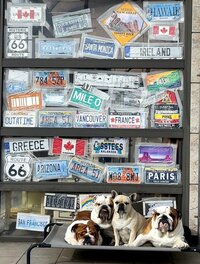 北斗晶『なんでもっと早く買わなかったんだろ〜』