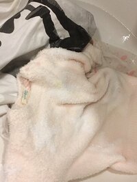 紺野あさ美、娘の吐き戻しが落ち着く「気にしすぎだったのかも」