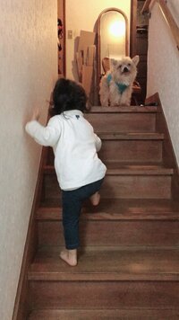 Wエンジン チャンカワイ『お久しぶりです。』