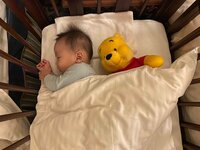 卜部弘嵩『ディズニー旅行』