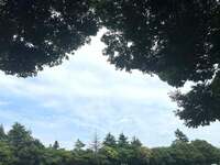 藤あや子『楽しみにしていた行事』