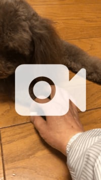 野口五郎『感謝❗️』