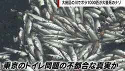 「東京の下水は日常的に河川に垂れ流し」区議が警鐘 水質汚濁で遷都を検討する世界の事例も