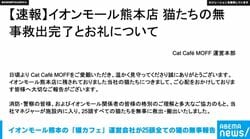 イオンモール熊本の「猫カフェ」運営会社が25頭全ての猫の無事報告