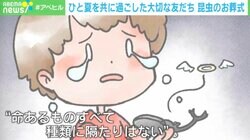 「命あるものすべて、種類に隔たりはない」昆虫葬に反響 飼い主の多くは子ども