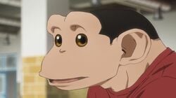 Charlie, the Human-Chimpanzee Hybrid (VA: Atsumi Tanezaki), Enters High School: "The Darwin Incident" Episode 1 Synopsis and Preview Images Released