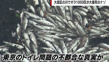 垂れ流し 