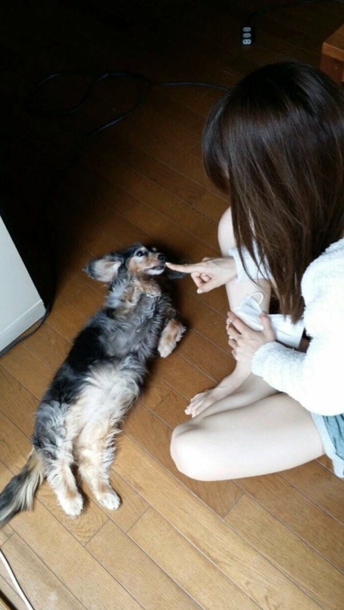 後藤真希、17年飼っていた愛犬・タカちゃんの死を報告「とっても優しいワンちゃんでした」 1枚目