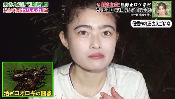 「200匹でもいける」井上咲楽、昆虫の佃煮を絶賛！　虫だけ食べる3泊4日の旅を“無修正”放送 1枚目