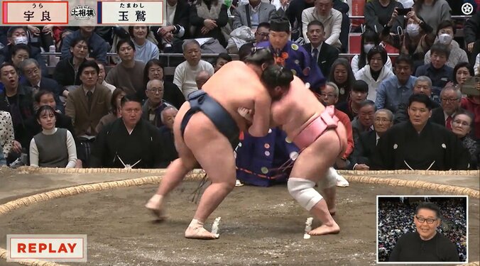 「髪型目立つ」大相撲千秋楽に人気タレントの姿 「リアクションが毎回オモロイw」熱心な姿も話題 2枚目