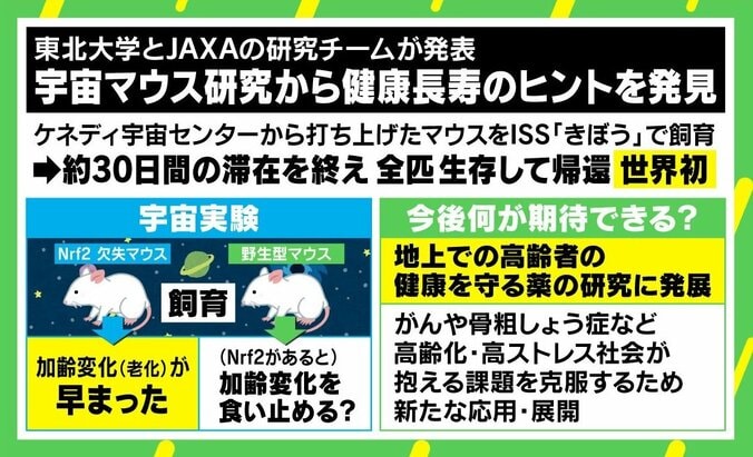 世界初の全匹帰還 “宇宙マウス”研究に健康長寿のヒント 遺伝子研究家「不老長寿に資するような成分・薬の開発期待も」 1枚目