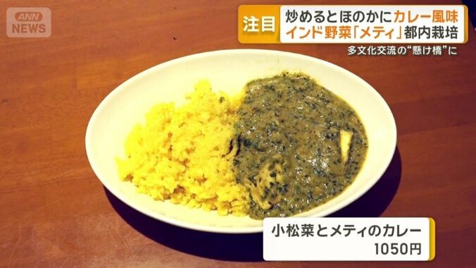 小松菜とメティのカレー