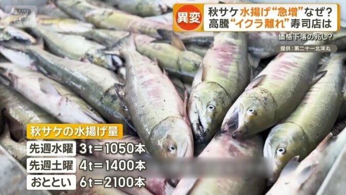 秋サケの水揚げ量