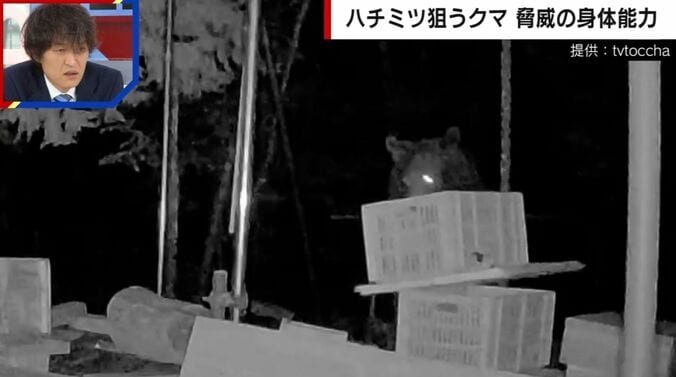 提供：tvtoccha