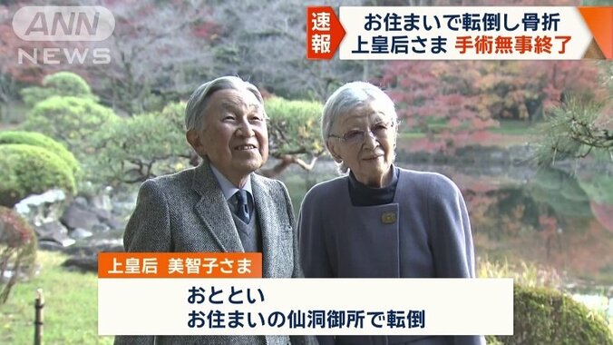 皇后美智子さまが転倒し、けがをされた