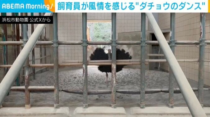 ブラッキーくん