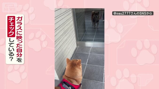 ガラスに映った自分をチェックしてる？