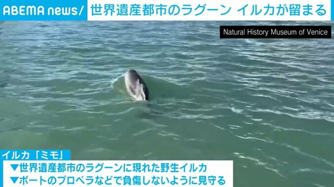 イタリア・ベネチア