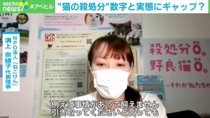 犬猫の“殺処分”は本当に減っているのか？ 不透明な実態に「救いたい気持ちは同じ」 3枚目