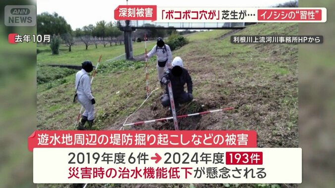 遊水地周辺の堤防掘り起こしなどの被害