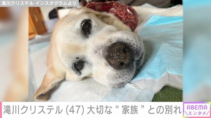 滝川クリステルのInstagramより