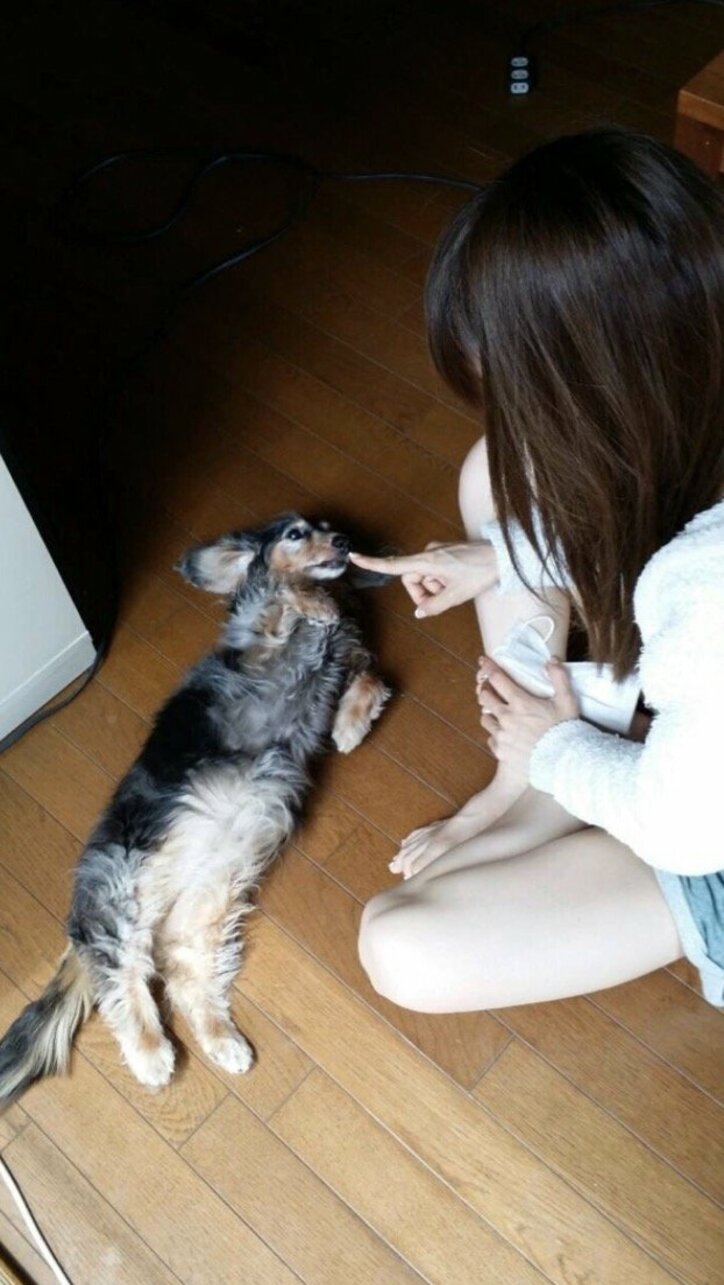 後藤真希、17年飼っていた愛犬・タカちゃんの死を報告「とっても優しいワンちゃんでした」