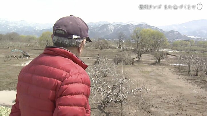 被害総額1億円超、家族とも離れ…それでも地域と仲間のために立ち上がったリンゴ農家