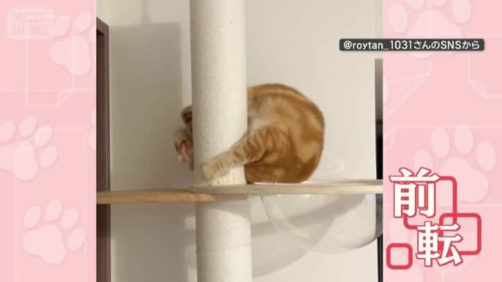 柱をギュッとして前転