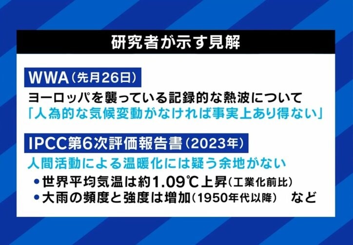 研究者の見解