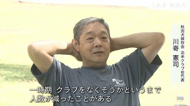 今や発祥の地に暮らすのはわずか30頭…プーチン大統領に贈られた「ゆめ」を育て上げた秋田犬ブリーダーの奮闘