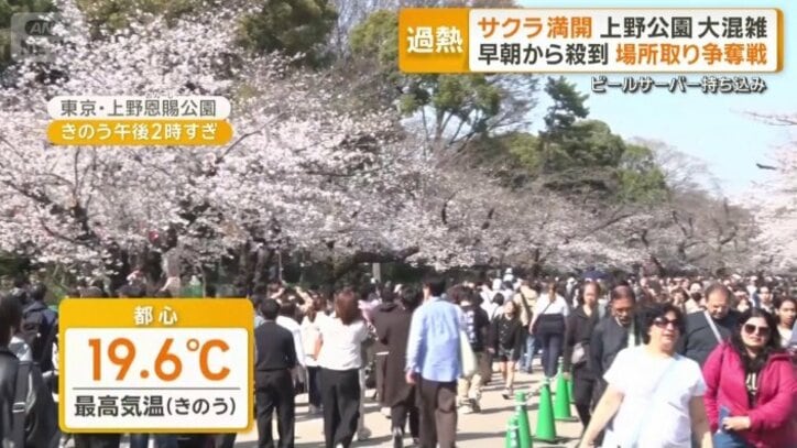 絶好のお花見日和