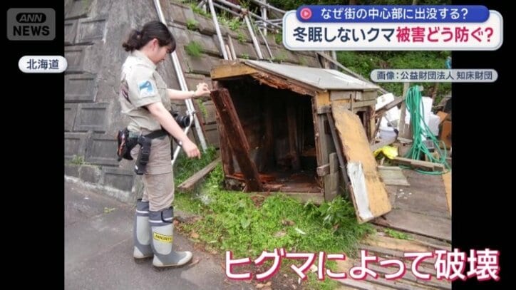 破壊されたごみの集積ボックス