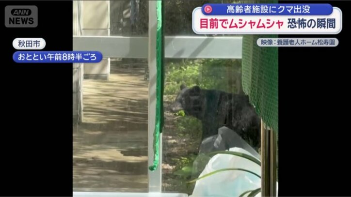 秋田市　高齢者施設