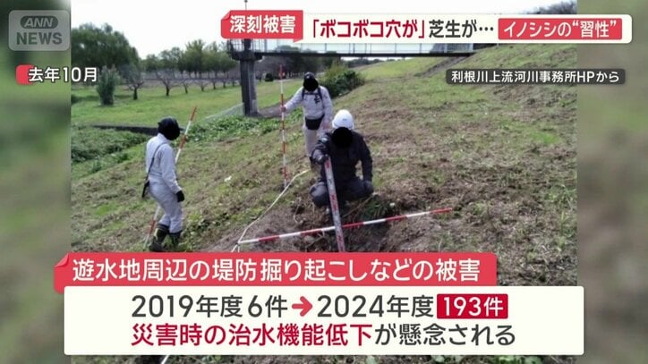 遊水地周辺の堤防掘り起こしなどの被害