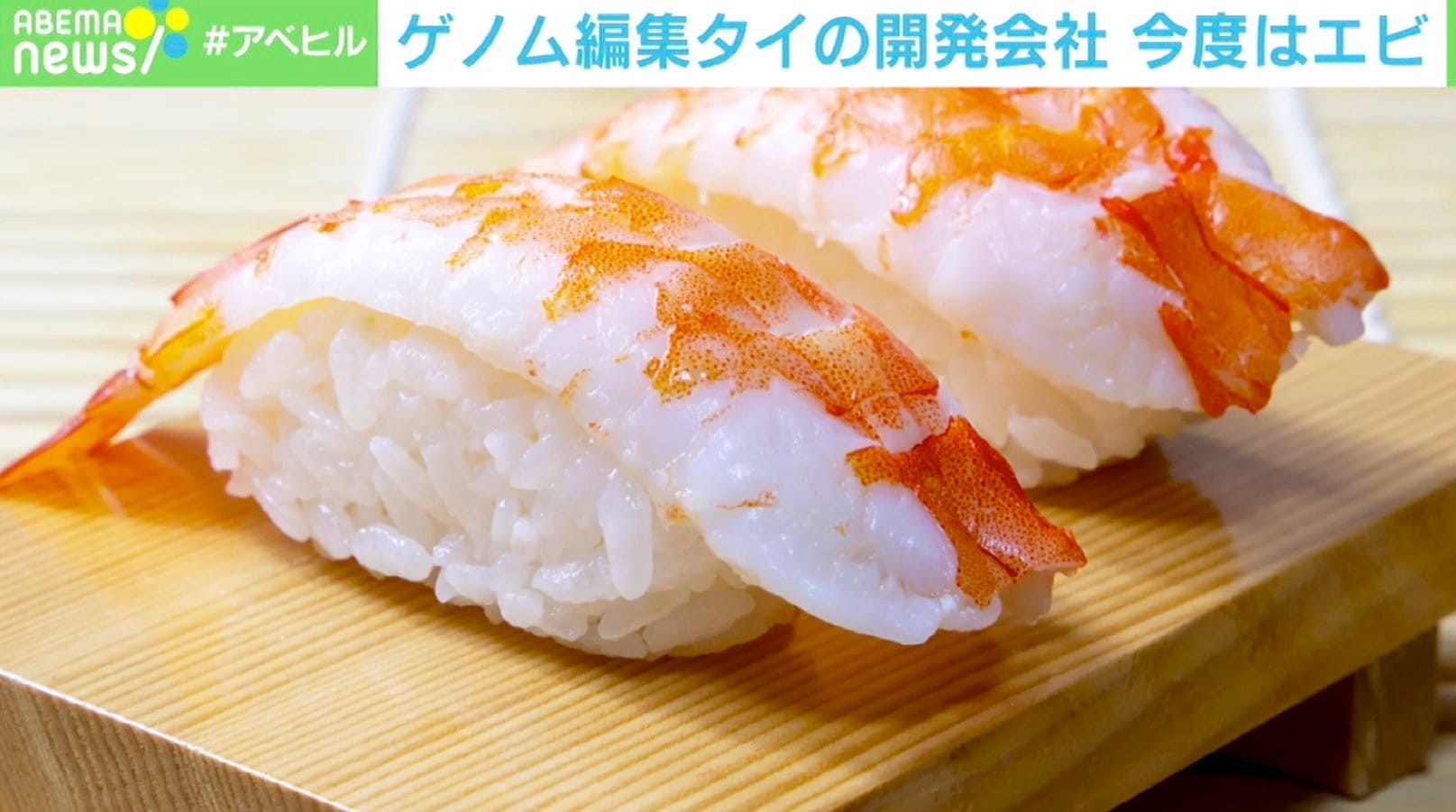 ABEMAヒルズ【平日ひる12時〜生放送】 - 最新NEWS - ゲノム編集エビ「スマート実験」開始 (ニュース) | 無料動画・見逃し配信を見るなら | ABEMA