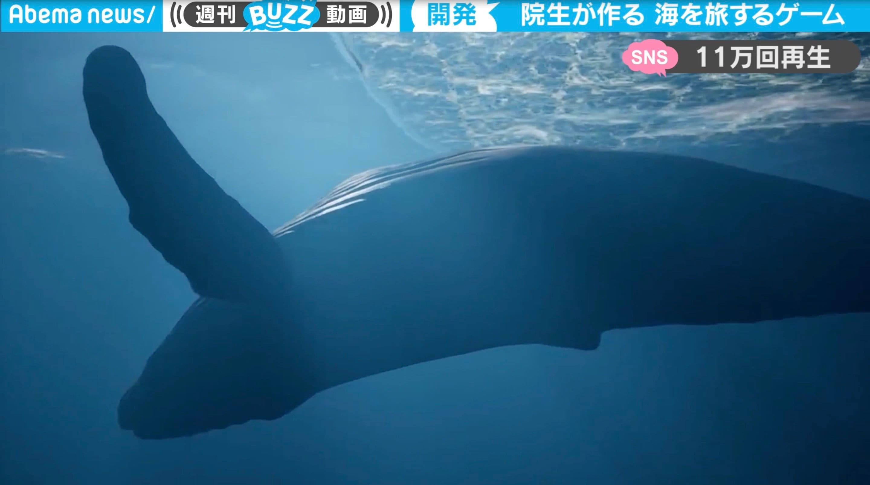 このクジラがCGとは…東京芸大院生が作った“海を旅するゲーム”が海洋