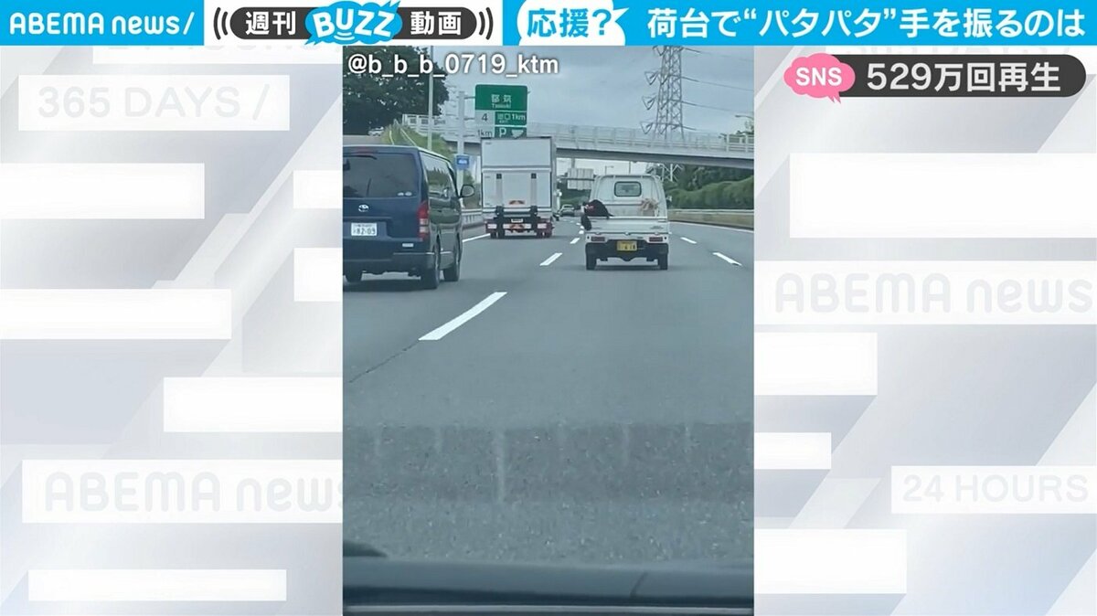 罪にならないあおり運転ですか？」軽トラの荷台で捉えた決定的瞬間に「平和な世界」「笑っちゃって、運転できない」反響続々 | 国内 | ABEMA  TIMES | アベマタイムズ