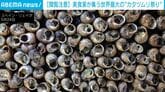 鉄板を埋め尽くす大量の「カタツムリ」…衝撃の“閲覧注意”な祭りに20万人が集結！消費量は驚異の1.4トンに スペイン