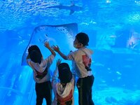 2700ツネの嫁『三兄弟が行きたかった場所』