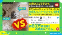 【映像】子ハムVS母ハムの譲れない戦い