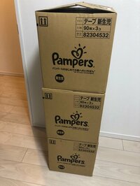 平野ノラ『810枚』