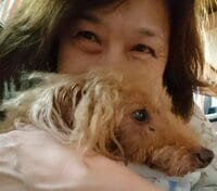 大島奈保美『繋ぐ』