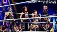 【映像】最強女子レスラー登場で大乱闘勃発の瞬間