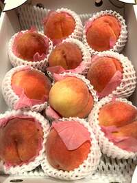 藤あや子『嬉しいお届けもの』