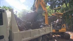 “強風”に“土砂崩れ”一時孤立も…台風6号　列島各地で爪痕あらわに