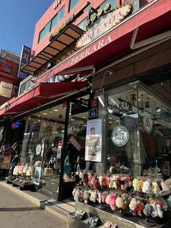 堀ちえみ「テンションが上がりっぱなし」韓国での購入品を紹介