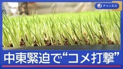 イラン攻撃で“日本のコメ作り”に打撃　田植え前に農家困惑「辞めるしか」