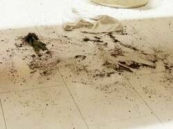 北斗晶、帰宅して唖然とした部屋の惨状を報告「床一面泥だらけ」