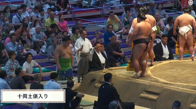 「柄がわからん」「異色すぎる」大相撲名古屋場所で話題 力士たちの個性的な化粧まわし 5枚目