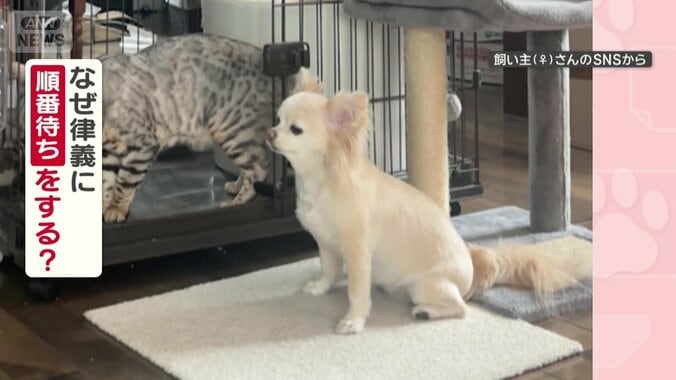 なぜ順番待ちするの？